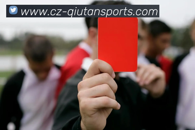 球探体育平台生态图